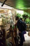 ZOO Ostawa